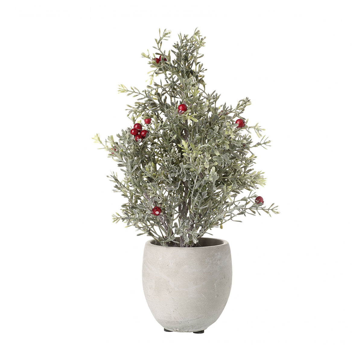 Large Potted Pine with Berries