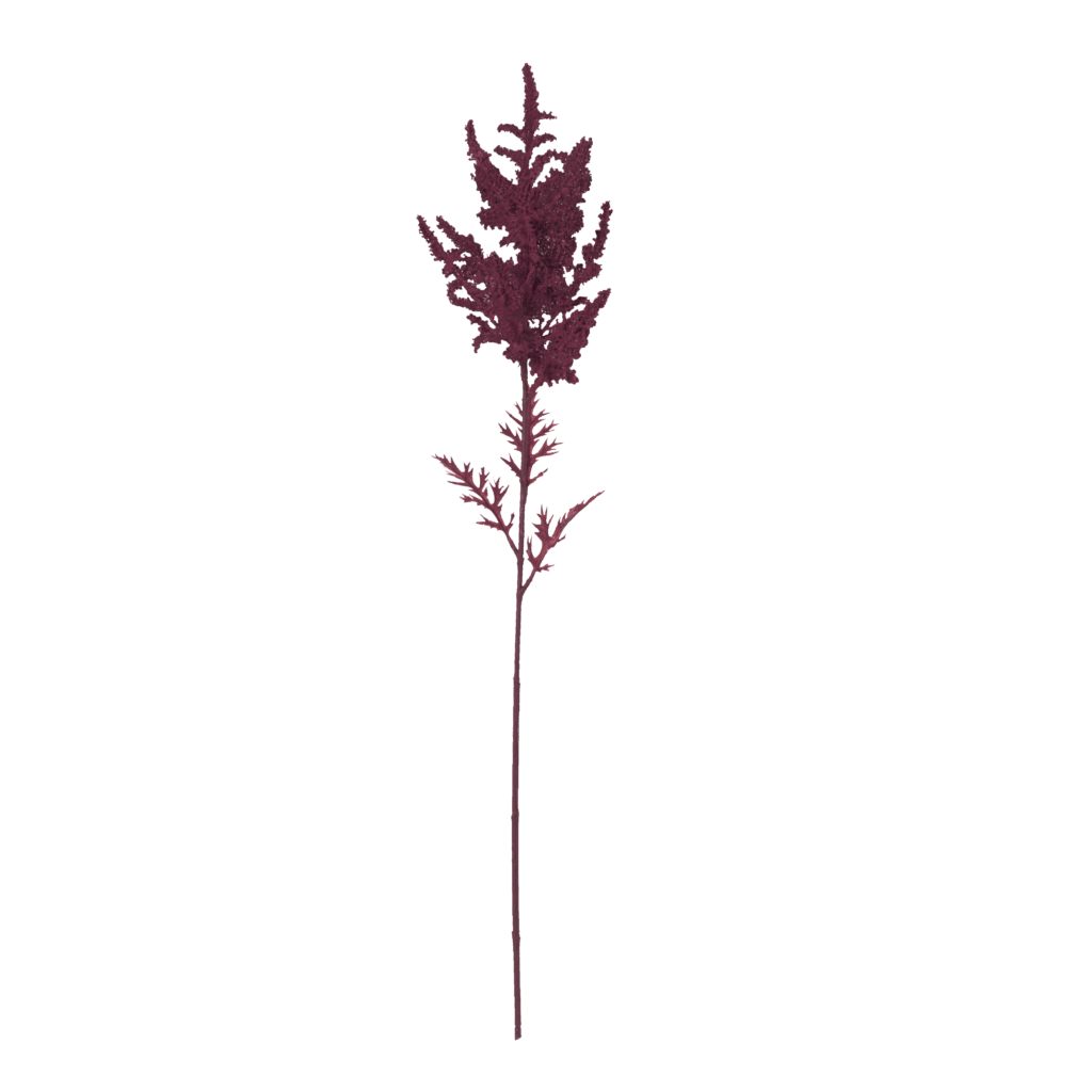 Astilbe Crimson Stem