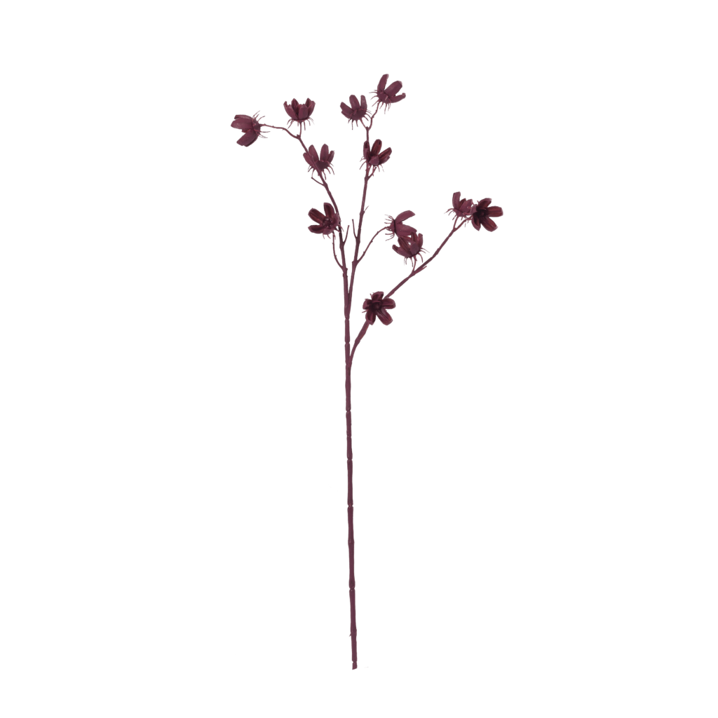 Cotton Pod Crimson Stem
