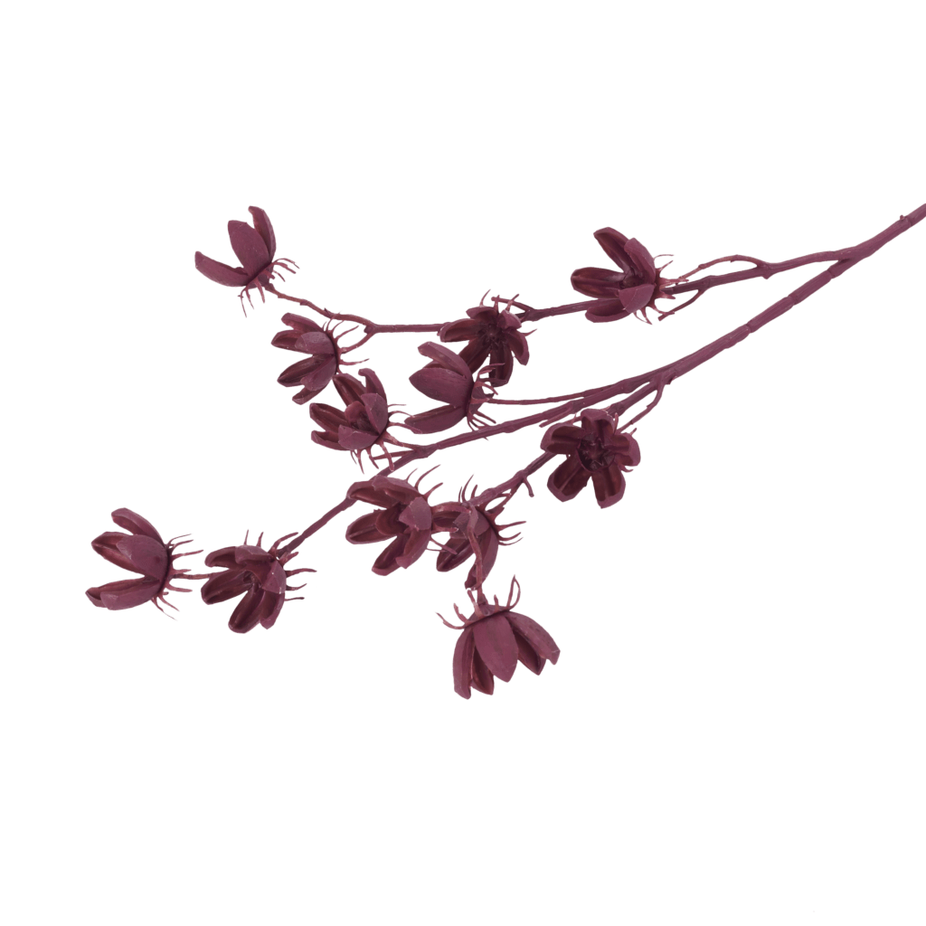 Cotton Pod Crimson Stem