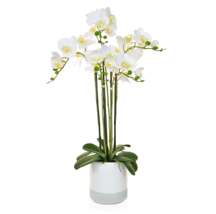 Phalaenopsis Real Touch W/Pot 70cm