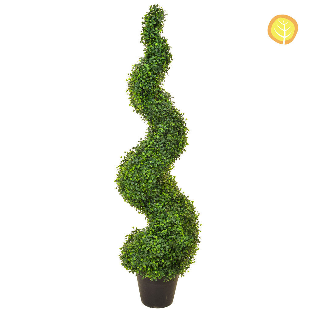 Topiary Buxus Spiral Tree 125cm