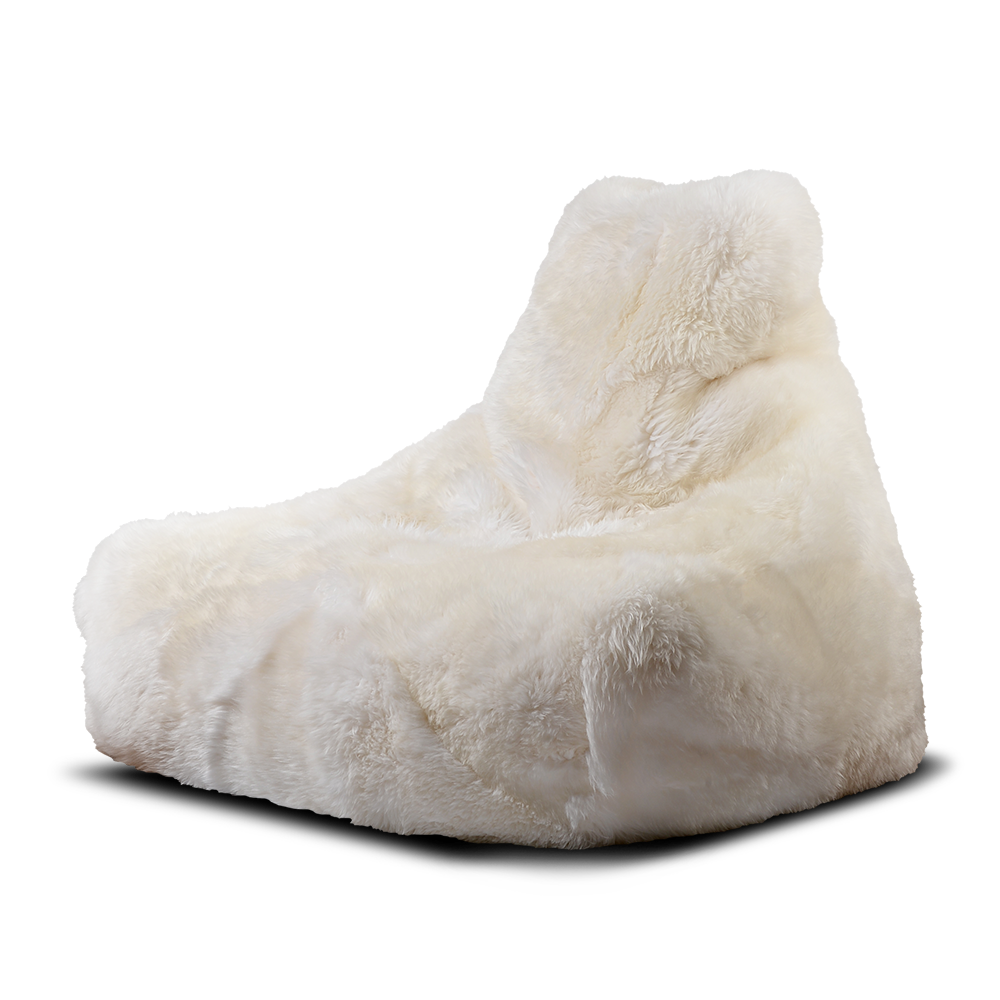 Fur Bean Bag Various Colours
