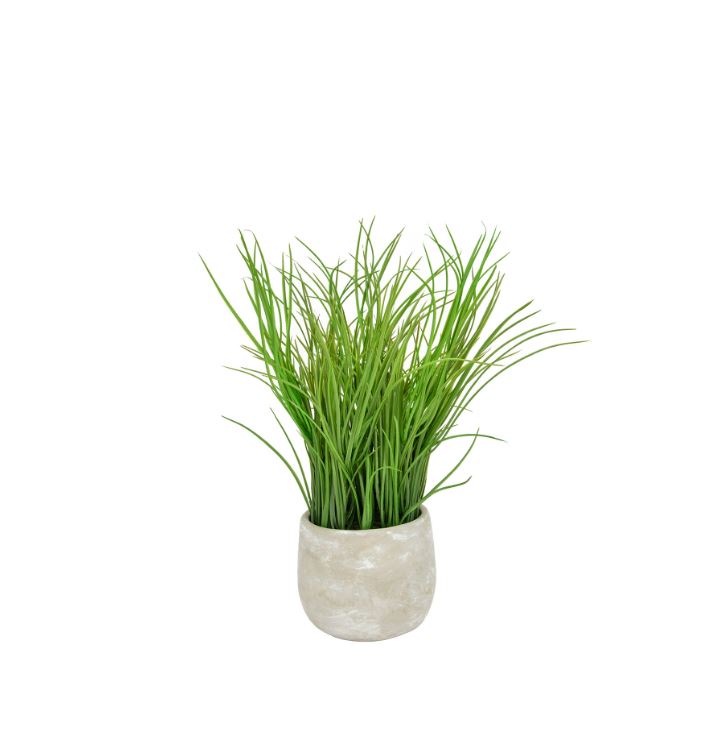 Grass in Pot 42cm
