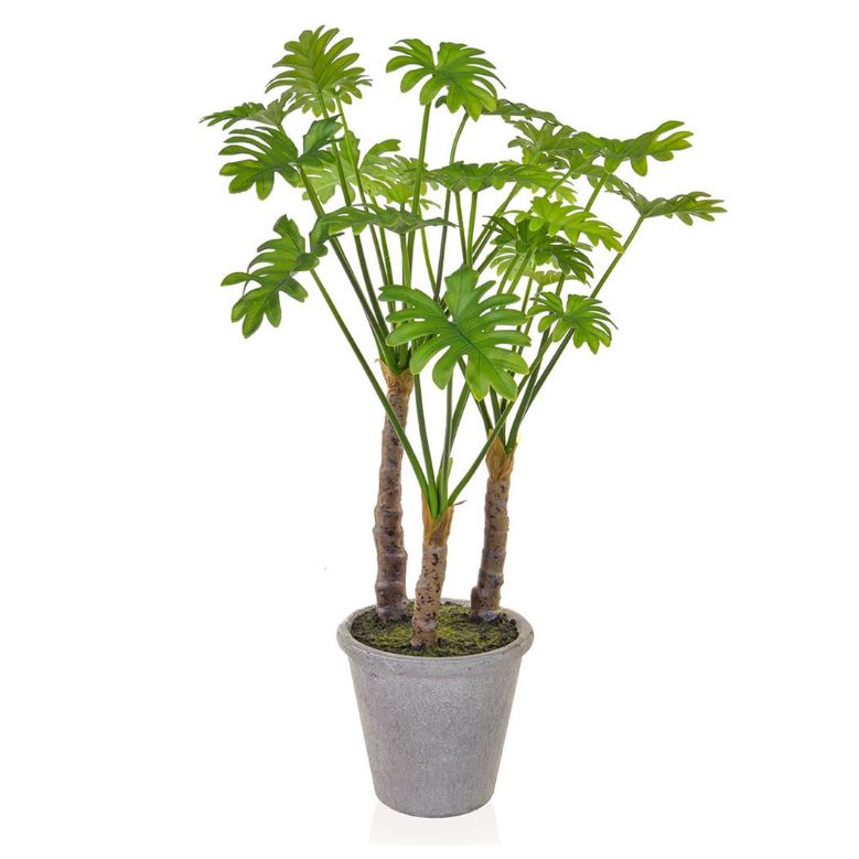Green Large Leaf in Grey Pot 65cm