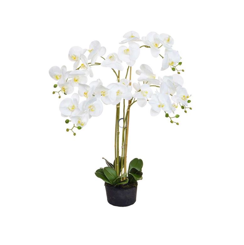Orchid Phal Real Touch White 90cm