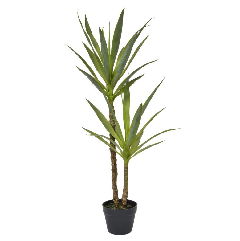 Yucca in Black Pot 110cm