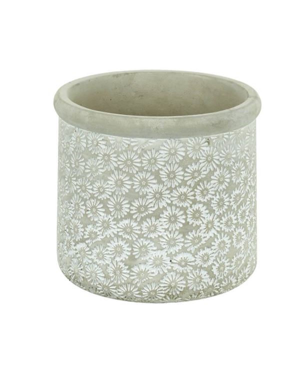 Planter Daises Cement Grey Medium