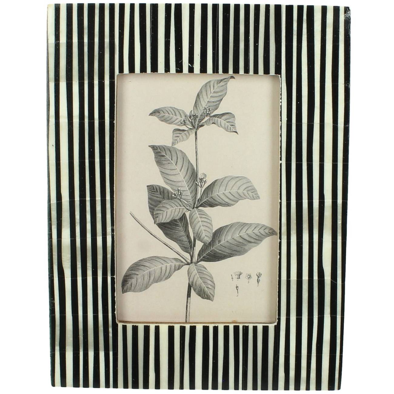 Bone Striped Photo Frame 4x6"
