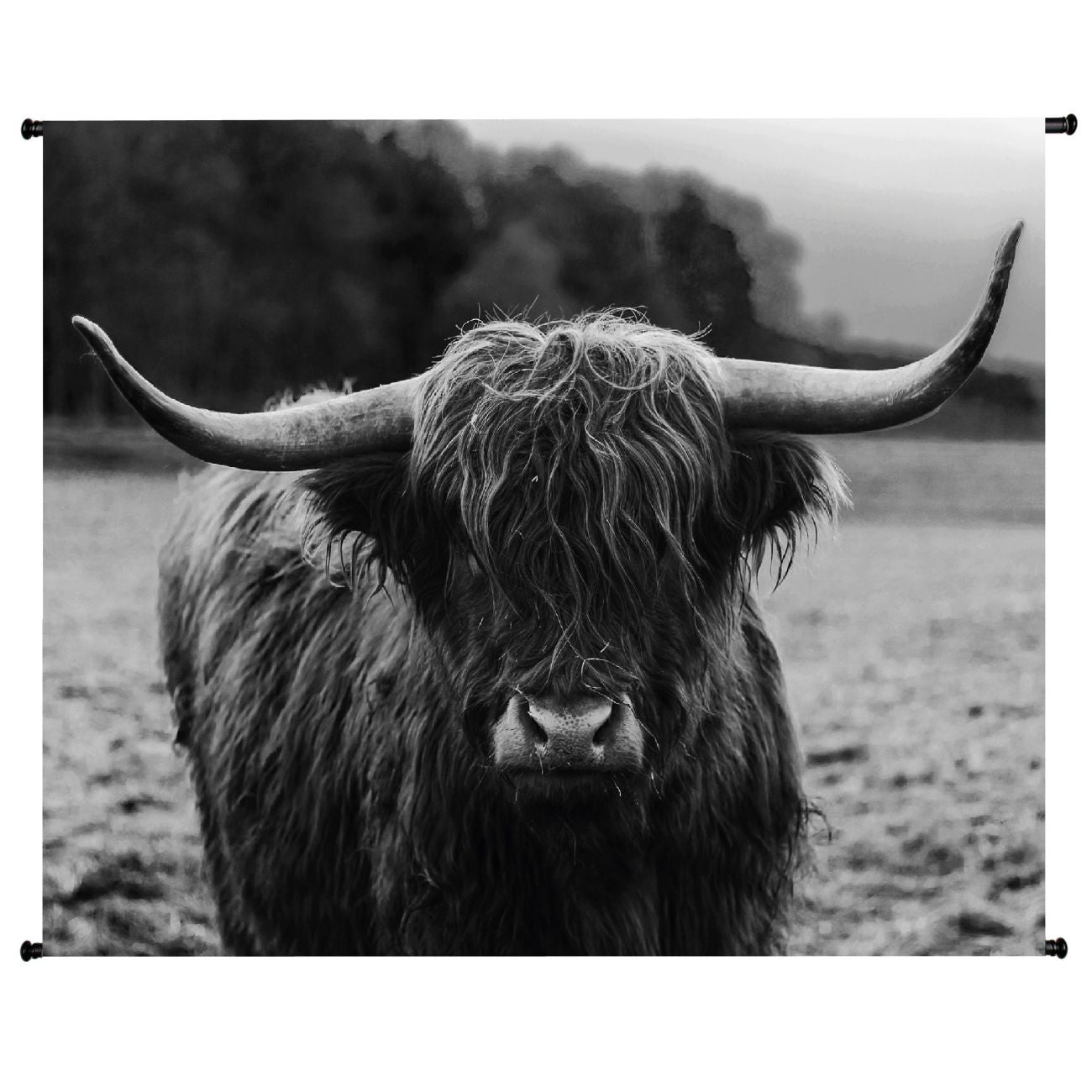 Morag Highland Cow Velvet Hanging Wall Art,