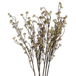 Branch in Bloom Filler