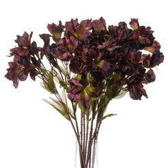 Spray Chocolat Alstroemeria Lily