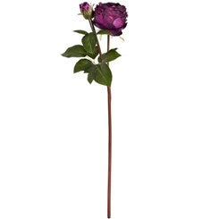 Spray rose pivoine de mariage violet foncé