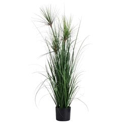 Green Water Bamboo