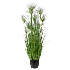 Water Bamboo Grass 48 Inch
