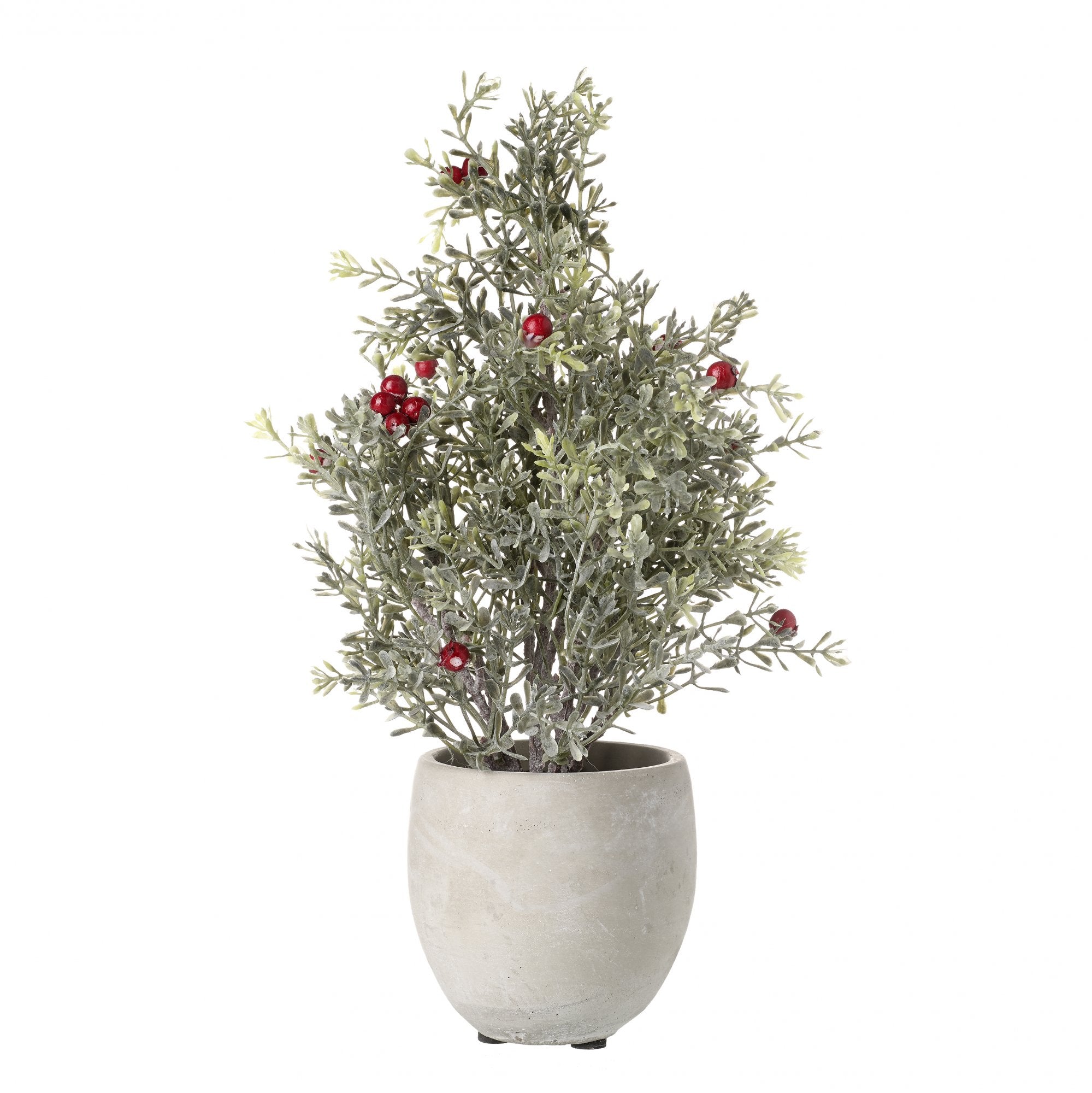 Large Potted Pine with Berries