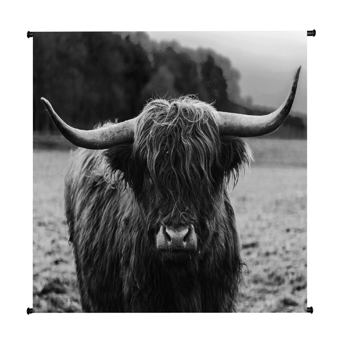 Morag Highland Cow Velvet Hanging Wall Art,