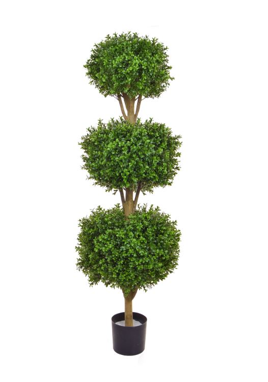 Topiary Buxus Triple Ball Tree 160cm