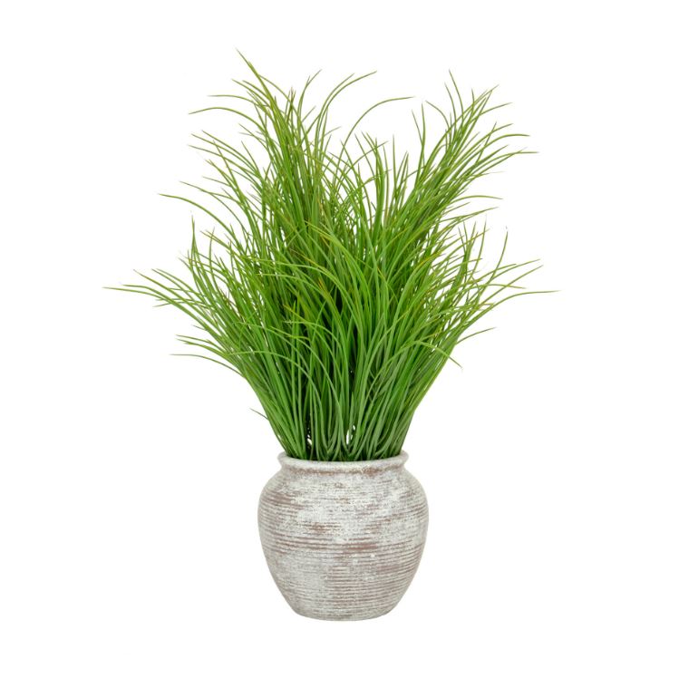 Grass in Pot 62cm