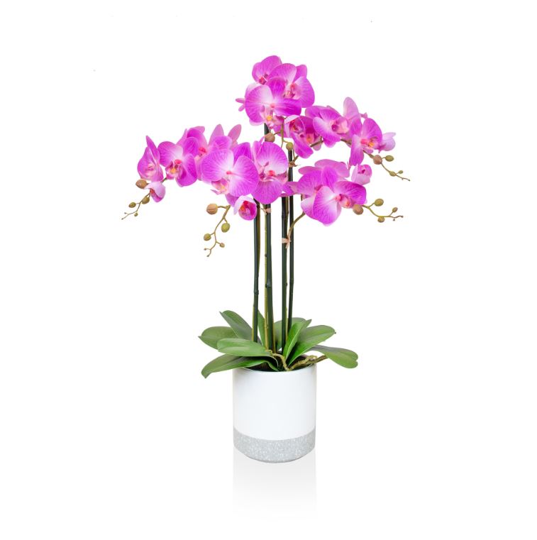 Phalaenopsis Real Touch Pink W/Pot 70cm
