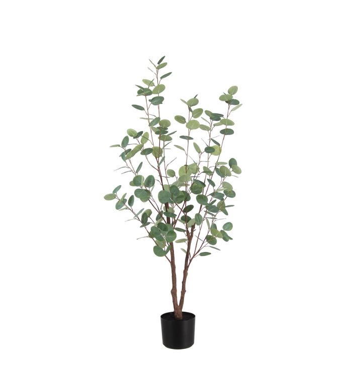 Eucalyptus Tree 25cm