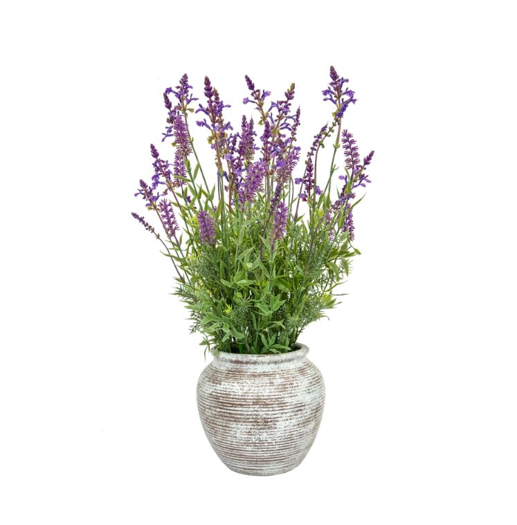 Lavender Grass Mix in Pot 63cm