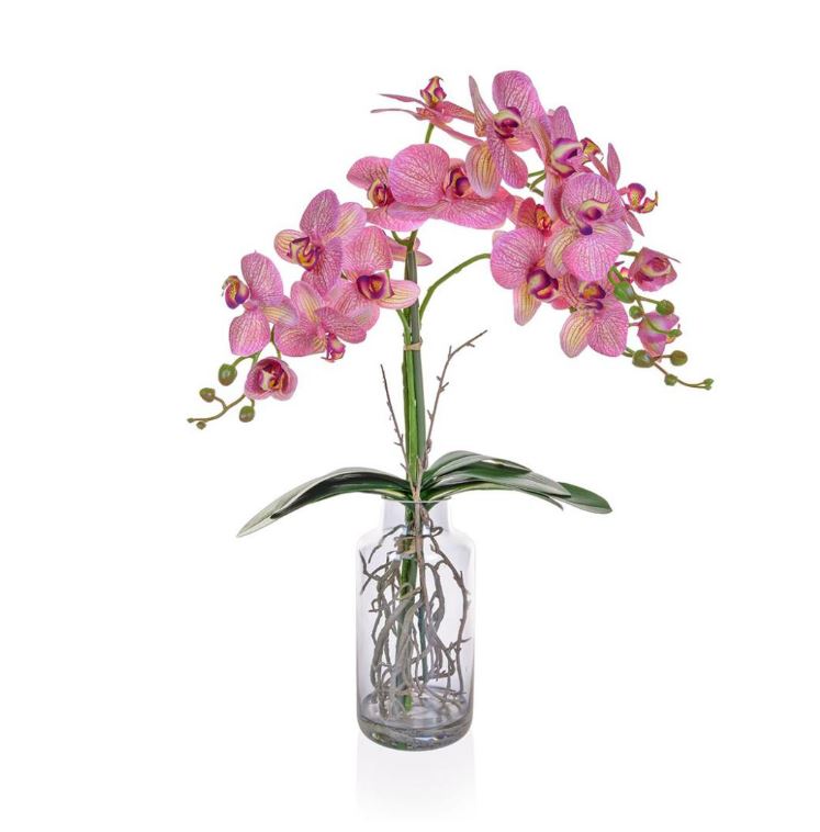 Pink Orchid in Glass Vase 90cm