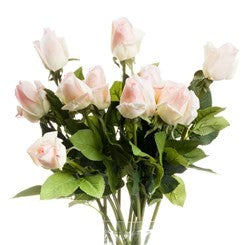 Cremefarbene geschlossene Rosenknospe 