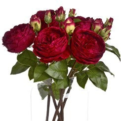 Spray rose pivoine de mariage rouge foncé 