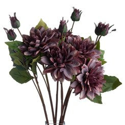 Dusty Purple Dahlia