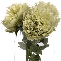 Green Peony
