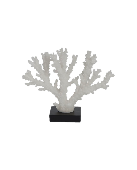 White Coral on Stand