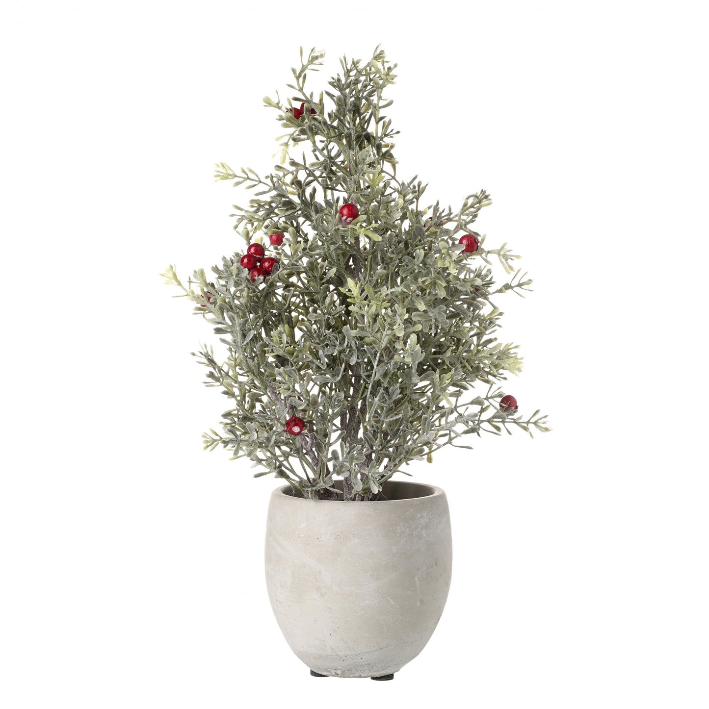 Large Potted Pine with Berries